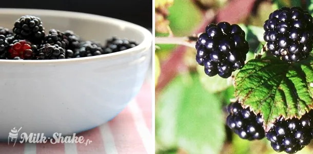 Mûres et framboises fraîches dans un bol, prêtes pour un milk-shake